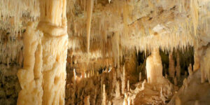 Taxi Castellana Grotte